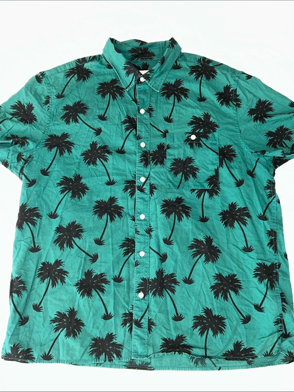 American Eagle Outfitters Teal Short-Sleeve Palm Print cotton Button-Down Shirt